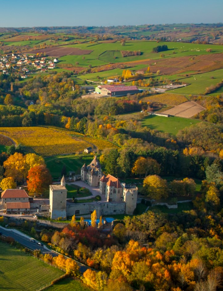 Bourgogne Rouge